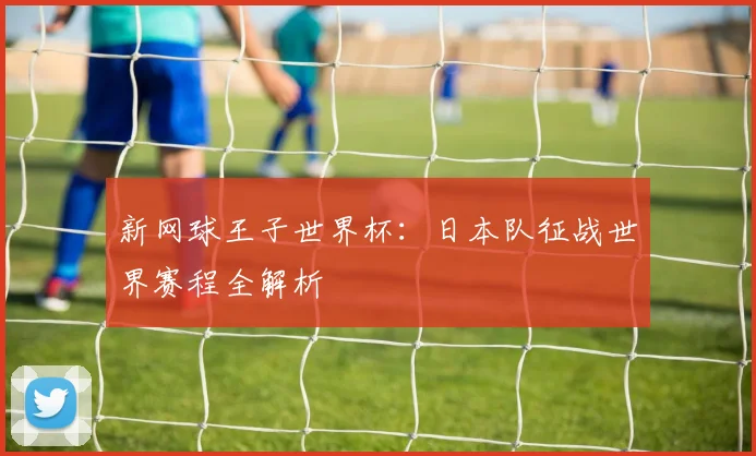 新网球王子世界杯：日本队征战世界赛程全解析
