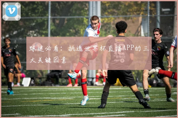 球迷必看：挑选世界杯直播APP的三大关键因素