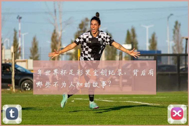 年世界杯足彩奖金创纪录,背后有哪些不为人知的故事?