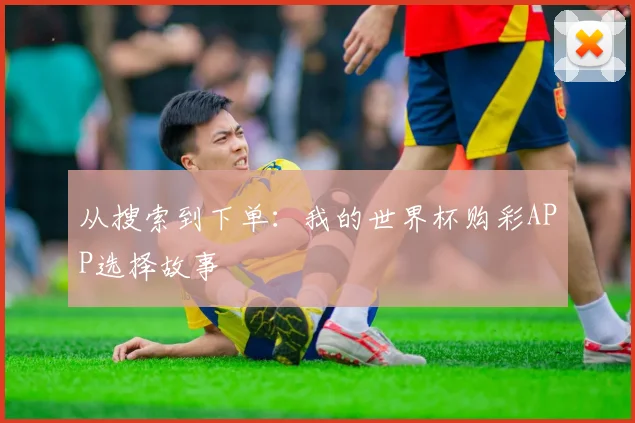 从搜索到下单：我的世界杯购彩APP选择故事