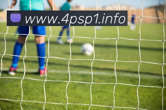 九游体育娱乐官网发展历程